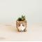 Show in main carousel: LIKHA Corgi Coco Coir Planter Pot, 2.5-in slide 2 of 8