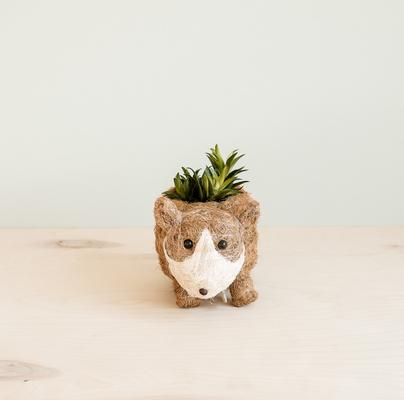 Show full view: LIKHA Corgi Coco Coir Planter Pot, 2.5-in slide 2 of 8