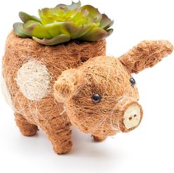 LIKHA Country Pig Coco Coir Planter Pot, 2.5-in slide 2 of 7