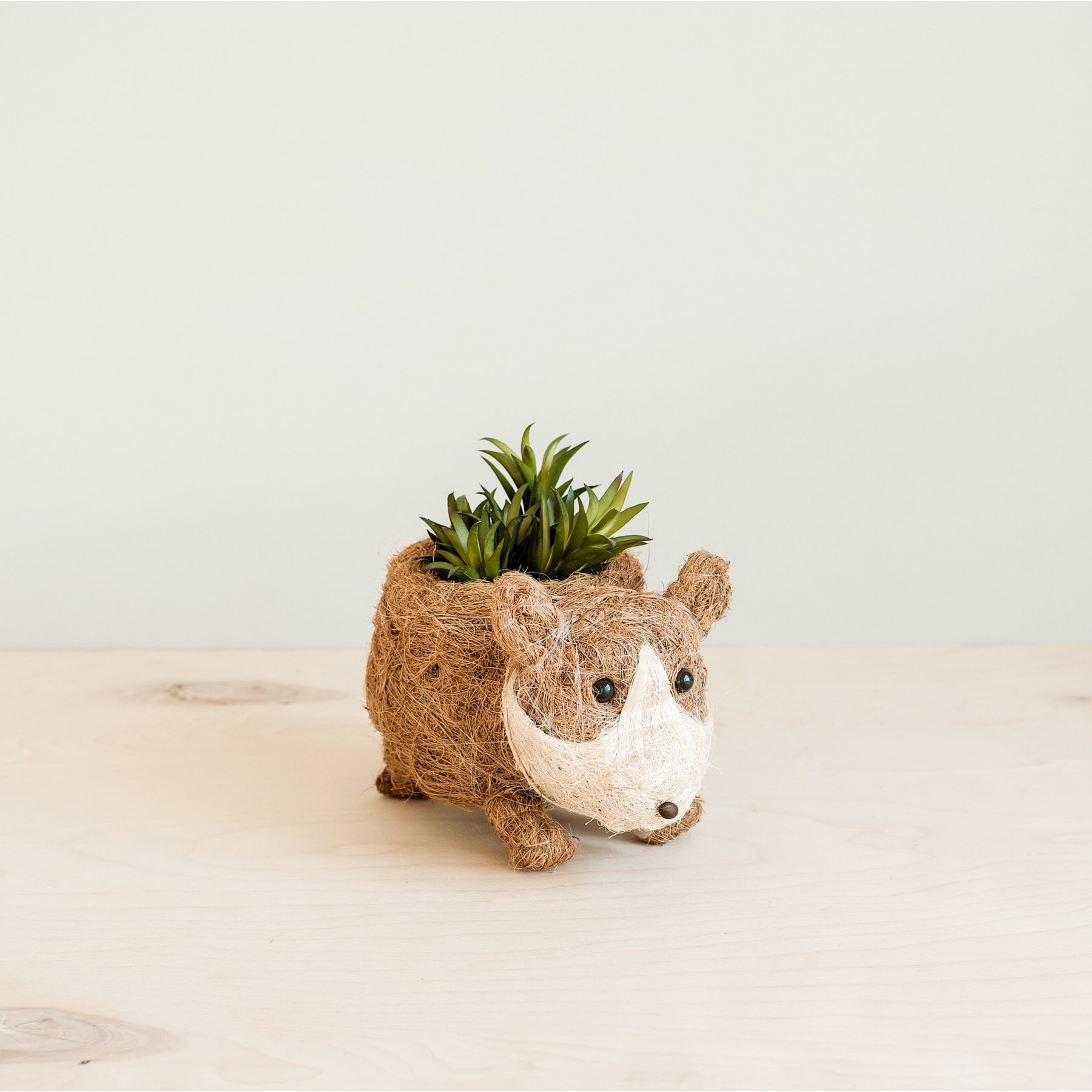 LIKHA Corgi Coco Coir Planter Pot, 2.5-in