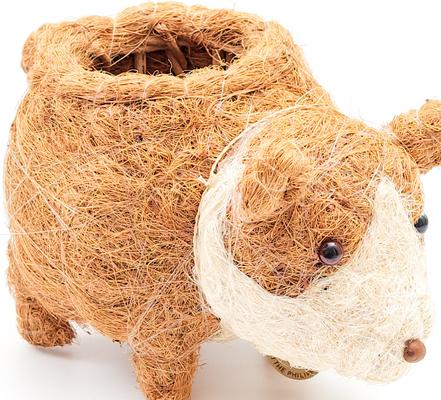 Show full view: LIKHA Corgi Coco Coir Planter Pot, 2.5-in slide 4 of 8