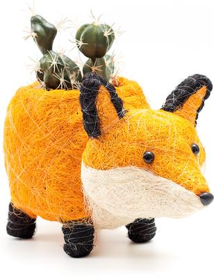 Show full view: LIKHA Fox Coco Coir Planter Pot, 4-in slide 4 of 5