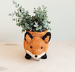 LIKHA Fox Coco Coir Planter Pot, 4-in