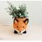Show in main carousel: LIKHA Fox Coco Coir Planter Pot, 4-in slide 1 of 5