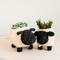 Show in main carousel: LIKHA Sheep Coco Coir Planter Pot, Black/White, 4-in slide 7 of 7