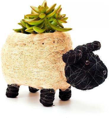 Show full view: LIKHA Sheep Coco Coir Planter Pot, Black/White, 4-in slide 6 of 7