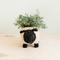 Show in main carousel: LIKHA Sheep Coco Coir Planter Pot, Black/White, 4-in slide 2 of 7