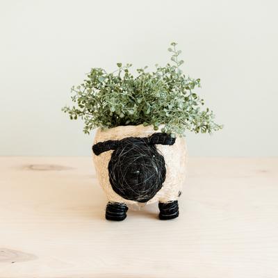 Show full view: LIKHA Sheep Coco Coir Planter Pot, Black/White, 4-in slide 2 of 7