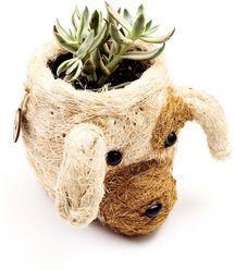 LIKHA Mini Dog 2.5-in Plant Pot, Natural/White, 5 x 6 x 5-in slide 2 of 7