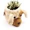 Show in main carousel: LIKHA Mini Dog 2.5-in Plant Pot, Natural/White, 5 x 6 x 5-in slide 4 of 7