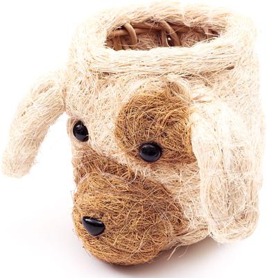 Show full view: LIKHA Mini Dog 2.5-in Plant Pot, Natural/White, 5 x 6 x 5-in slide 5 of 7