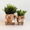 Show in main carousel: LIKHA Country Pig Coco Coir Planter Pot, 4-in slide 7 of 7