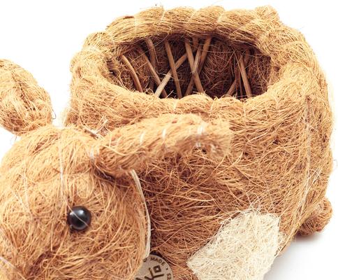 Show full view: LIKHA Country Pig Coco Coir Planter Pot, 4-in slide 5 of 7