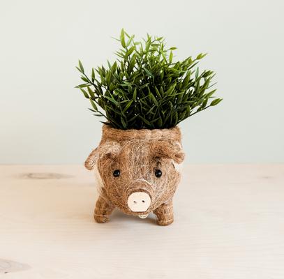 Show full view: LIKHA Country Pig Coco Coir Planter Pot, 4-in slide 2 of 7