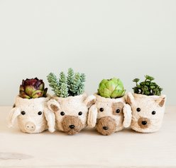 LIKHA Mini Cat 2.5-in Plant Pot, Natural/White, 5 x 5 x 4.75-in slide 2 of 7