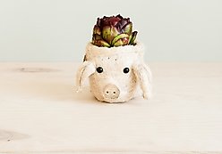 LIKHA Mini Pig 2.5-in Plant Pot, Natural/White, 5 x 6 x 4.75-in