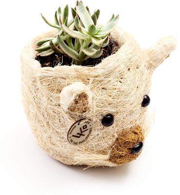 Show full view: LIKHA Mini Cat 2.5-in Plant Pot, Natural/White, 5 x 5 x 4.75-in slide 4 of 7