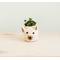 Show in main carousel: LIKHA Mini Cat 2.5-in Plant Pot, Natural/White, 5 x 5 x 4.75-in slide 1 of 7