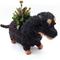 Show in main carousel: LIKHA Dachshund Coco Coir Planter Pot, 4-in slide 4 of 10
