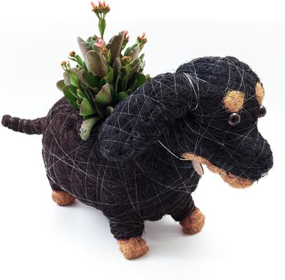 Show full view: LIKHA Dachshund Coco Coir Planter Pot, 4-in slide 4 of 10