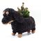 Show in main carousel: LIKHA Dachshund Coco Coir Planter Pot, 4-in slide 6 of 10