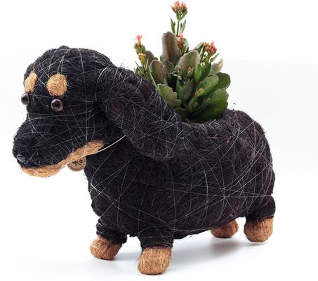 Show full view: LIKHA Dachshund Coco Coir Planter Pot, 4-in slide 6 of 10