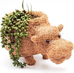 LIKHA Hippo Coco Coir Planter Pot, 4-in slide 2 of 7