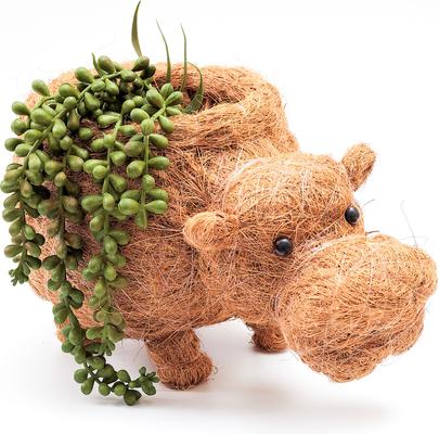 Show full view: LIKHA Hippo Coco Coir Planter Pot, 4-in slide 7 of 7