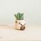 Show in main carousel: LIKHA Mini Bear 2.5-in Plant Pot, Natural/White, 6 x 5 x 4.75-in slide 2 of 7