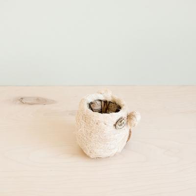 Show full view: LIKHA Mini Bear 2.5-in Plant Pot, Natural/White, 6 x 5 x 4.75-in slide 3 of 7