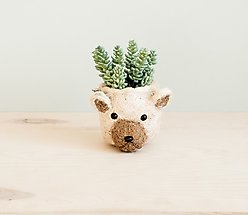 LIKHA Mini Bear 2.5-in Plant Pot, Natural/White, 6 x 5 x 4.75-in