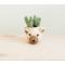 Show in main carousel: LIKHA Mini Bear 2.5-in Plant Pot, Natural/White, 6 x 5 x 4.75-in slide 1 of 7