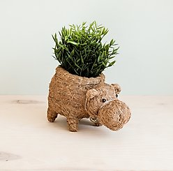 LIKHA Hippo Coco Coir Planter Pot, 4-in slide 1 of 7