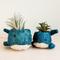 Show in main carousel: LIKHA Whale Coco Coir Planter Pot, Blue/White, 4-in slide 7 of 7