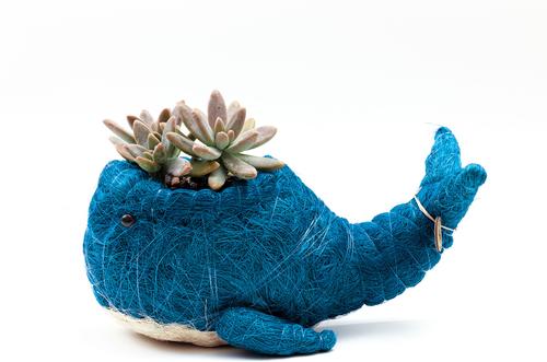 Show full view: LIKHA Whale Coco Coir Planter Pot, Blue/White, 4-in slide 6 of 7