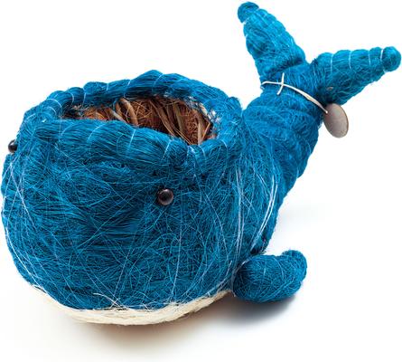 Show full view: LIKHA Whale Coco Coir Planter Pot, Blue/White, 4-in slide 4 of 7