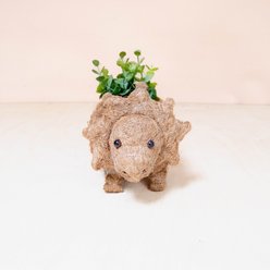 LIKHA Triceratops Coco Coir Planter Pot, 2.5-in
