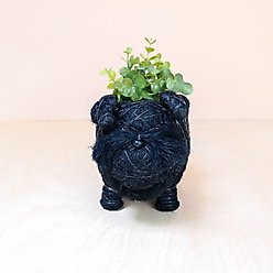 LIKHA Schnauzer Coco Coir Planter Pot, 2.5-in