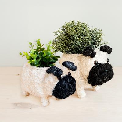 Show full view: LIKHA Pug Coco Coir Planter Pot, 4-in slide 7 of 7