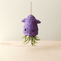 LIKHA Squid 2.5-in Coco Coir Hanging Planter, Purple, 5.5 x 5 x 4.75-in