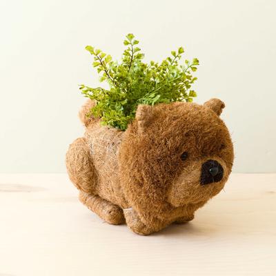 Show full view: LIKHA Chow Chow 4-in Coco Coir Planter Pot, Natural, 11 x 7.5 x 9-in slide 3 of 7