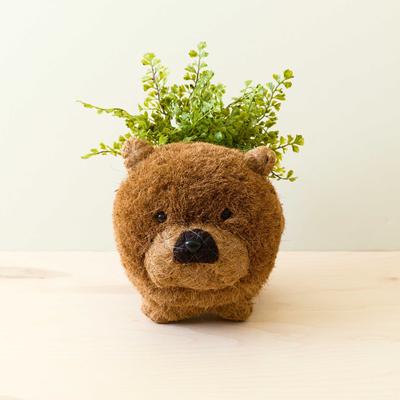 Show full view: LIKHA Chow Chow 4-in Coco Coir Planter Pot, Natural, 11 x 7.5 x 9-in slide 2 of 7
