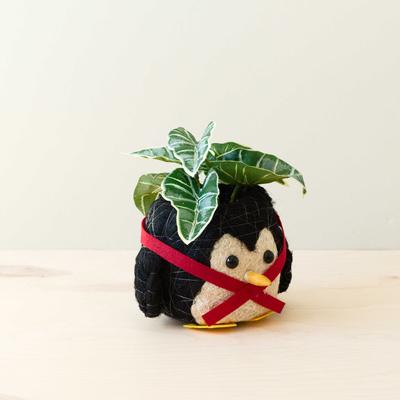 Show full view: LIKHA Penguin 4-in Coco Coir Planter Pot, Black/White/Red/Yellow, 7 x 7.5 x 5.5-in slide 3 of 7