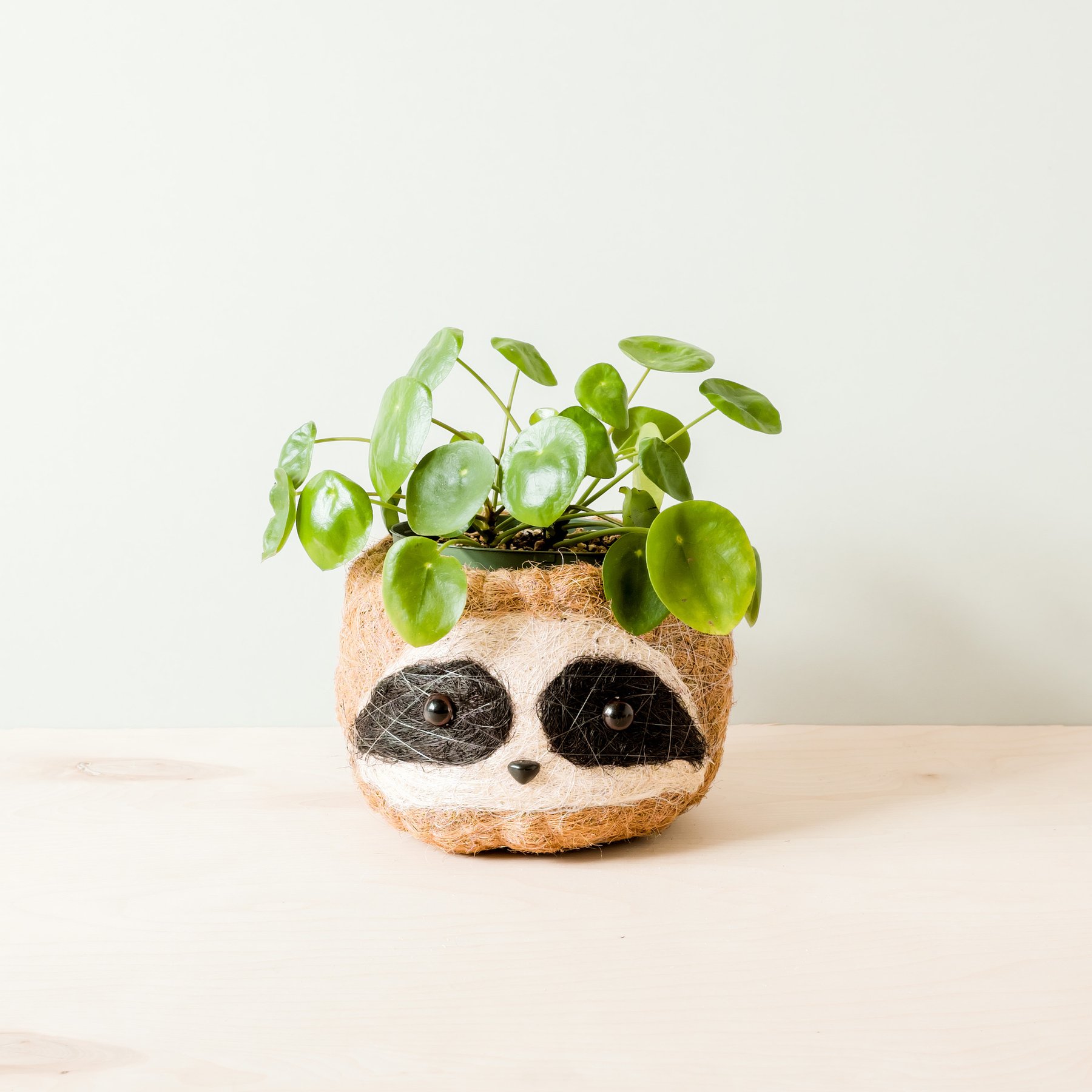 LIKHA Sloth Coco Coir Planter Pot, Dark, 6-in