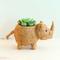 Show in main carousel: LIKHA Rhino Coco Coir Planter Pot, 4-in slide 3 of 8