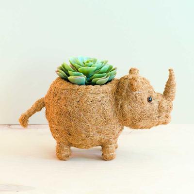 Show full view: LIKHA Rhino Coco Coir Planter Pot, 4-in slide 3 of 8