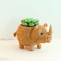 LIKHA Rhino Coco Coir Planter Pot, 4-in