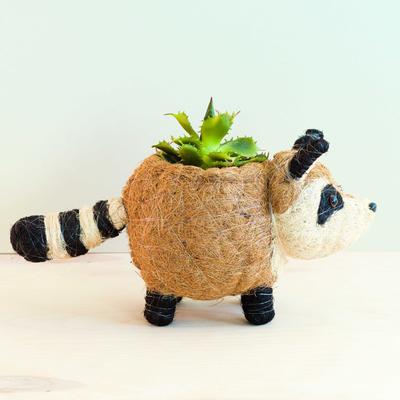Show full view: LIKHA Raccoon Coco Coir Planter Pot, 4-in slide 3 of 8