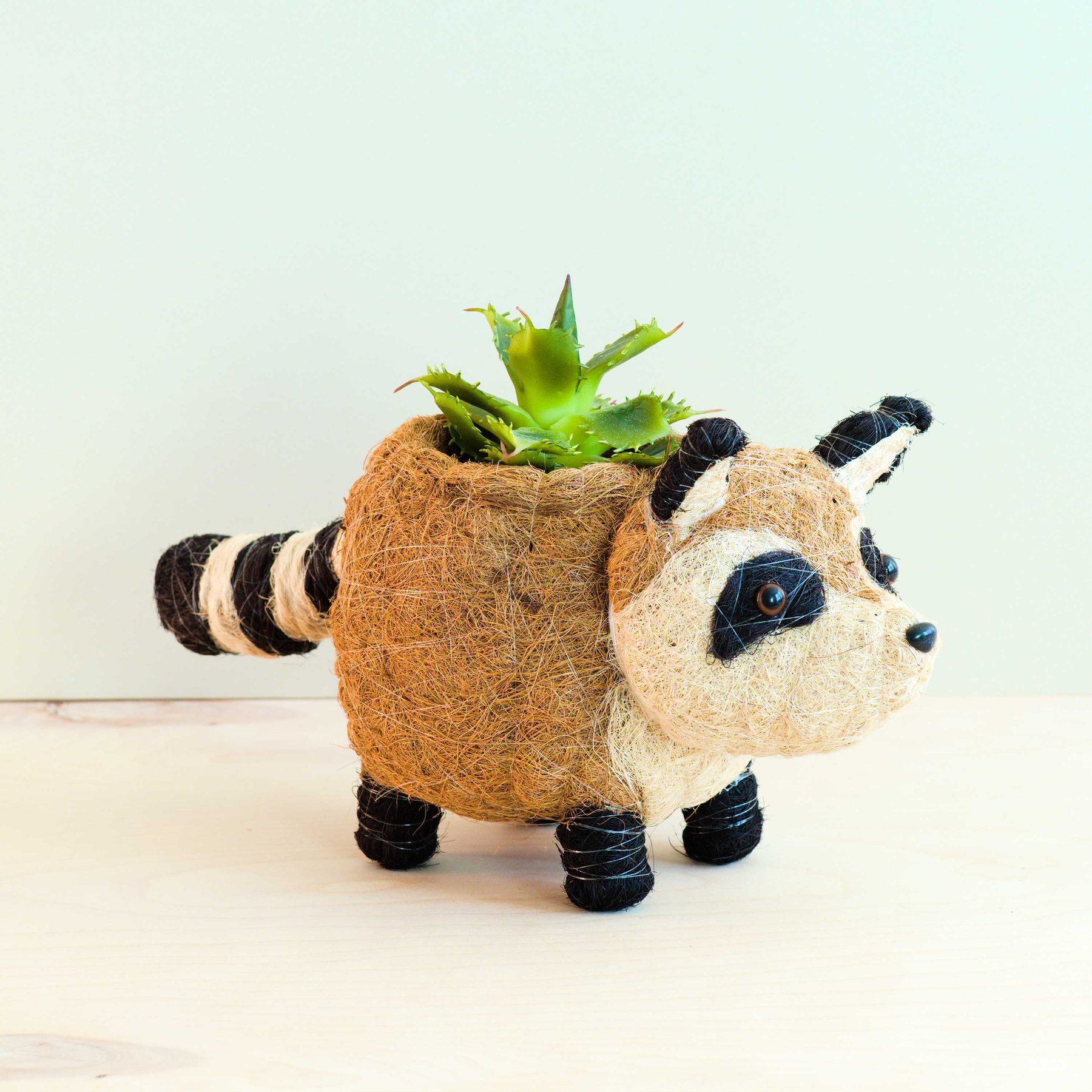 LIKHA Raccoon Coco Coir Planter Pot, 4-in
