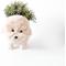 Show in main carousel: LIKHA Poodle 4-in Coco Coir Planter Pot, White, 12 x 6 x 8-in slide 4 of 5